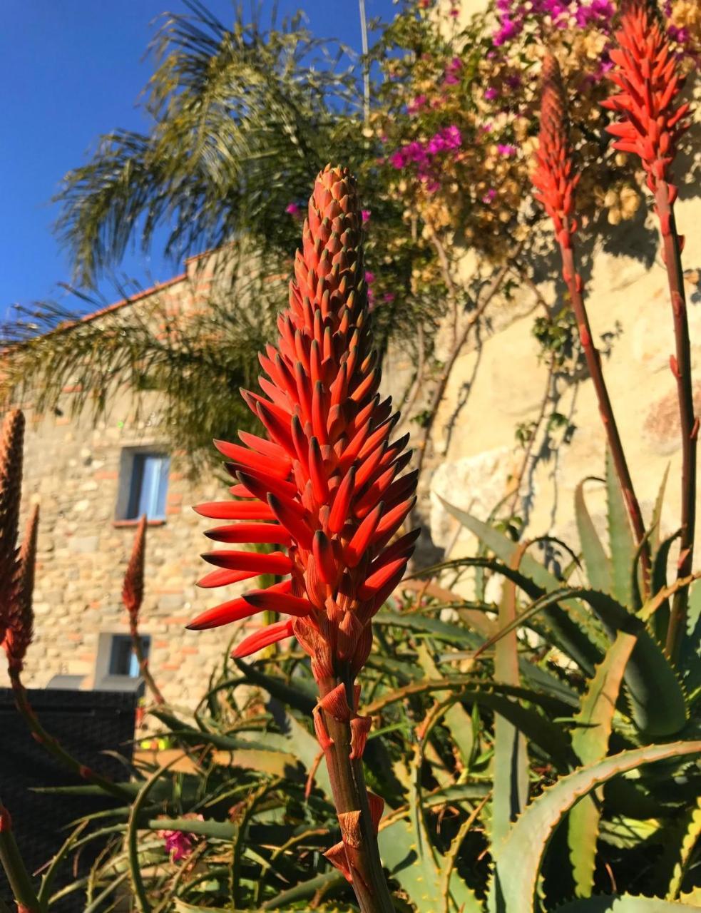 Casa Ilicia Otel Eus Dış mekan fotoğraf