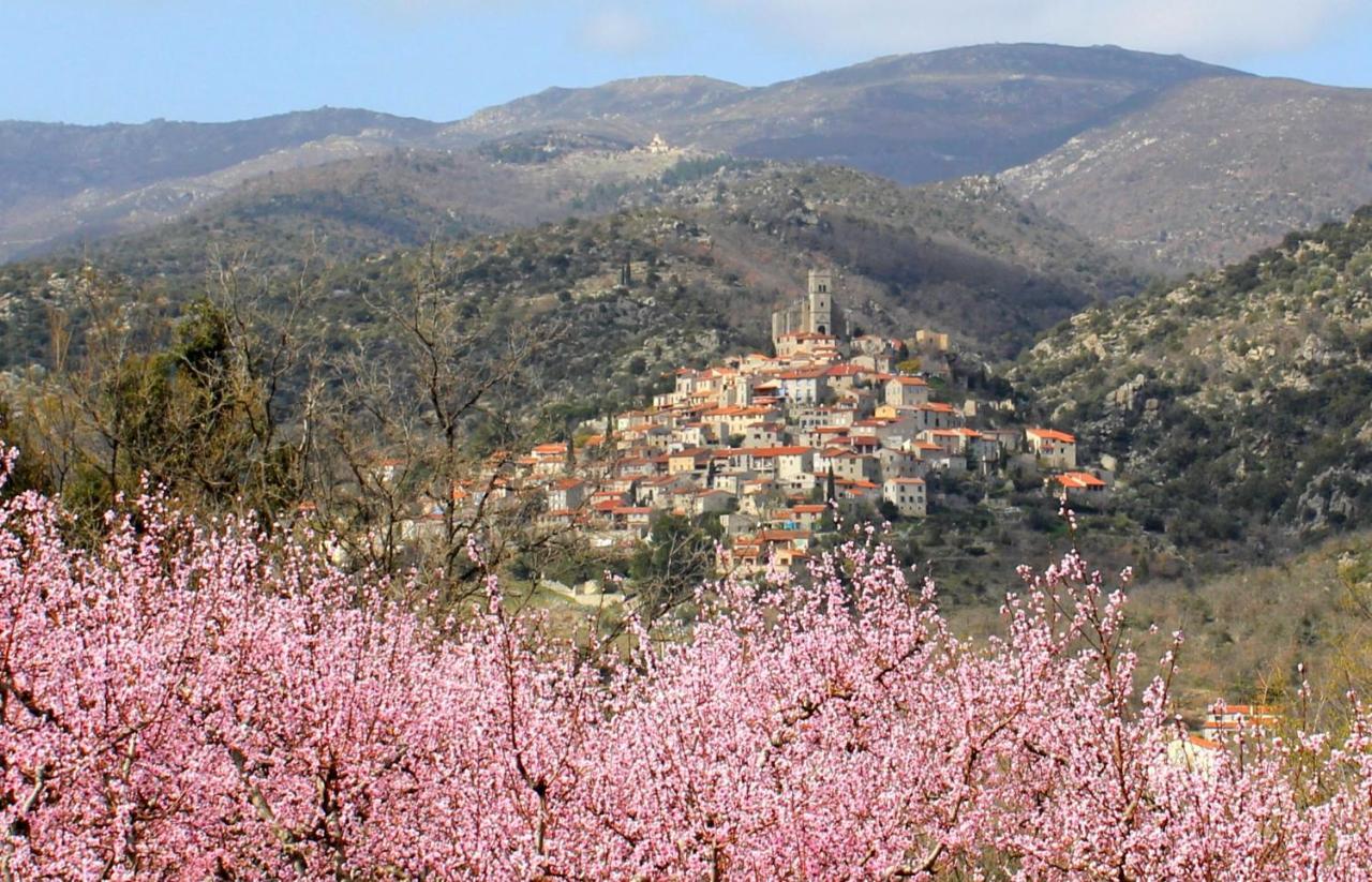 Casa Ilicia Otel Eus Dış mekan fotoğraf