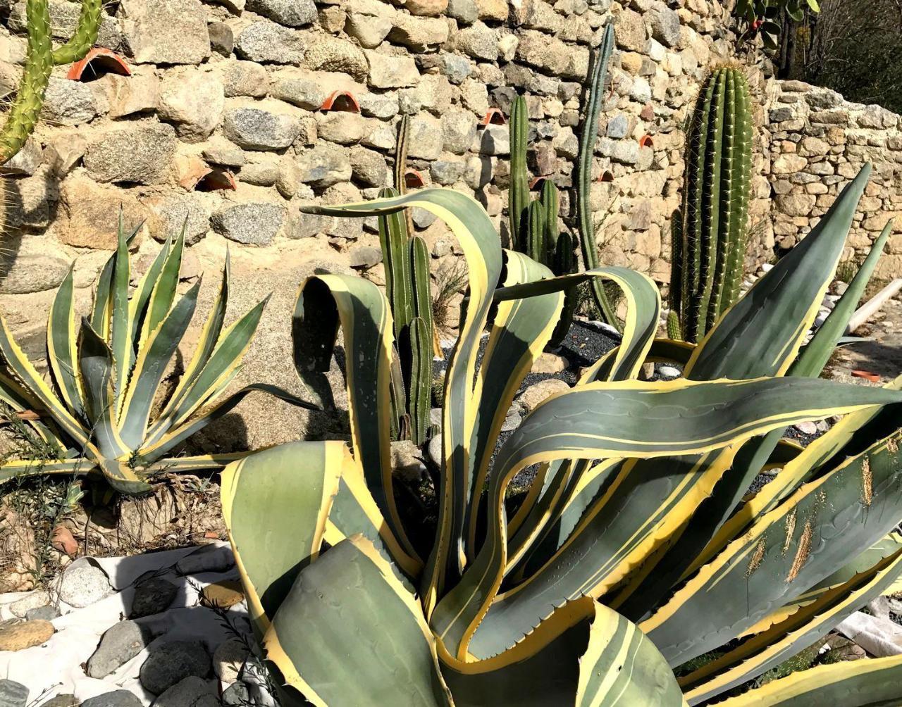 Casa Ilicia Otel Eus Dış mekan fotoğraf